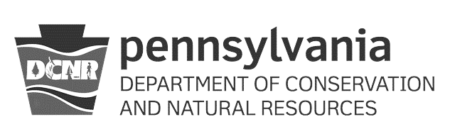 pa dcnr duplicate title